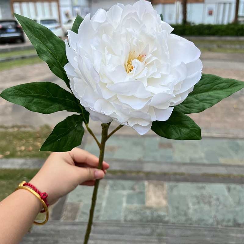 Soft-touch Peony Flower