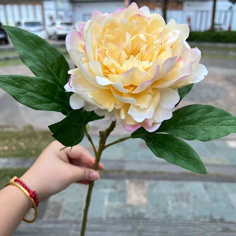 Soft-touch Peony Flower