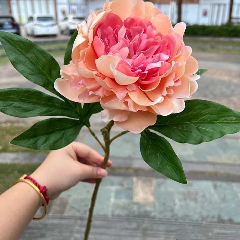Soft-touch Peony Flower