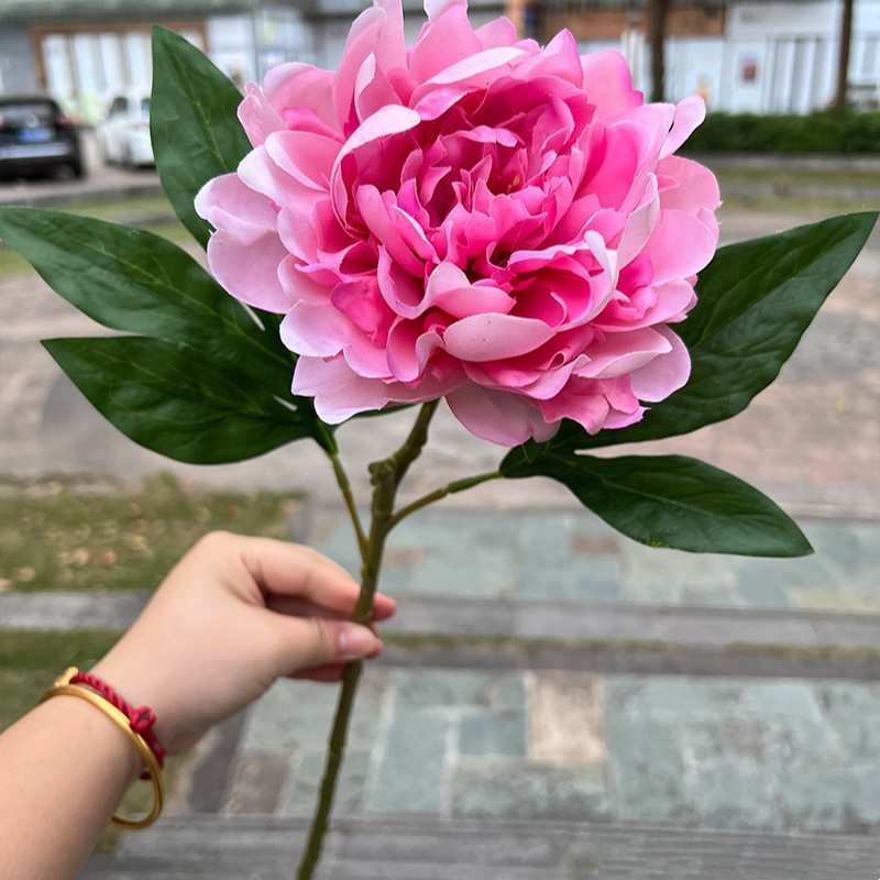 Soft-touch Peony Flower
