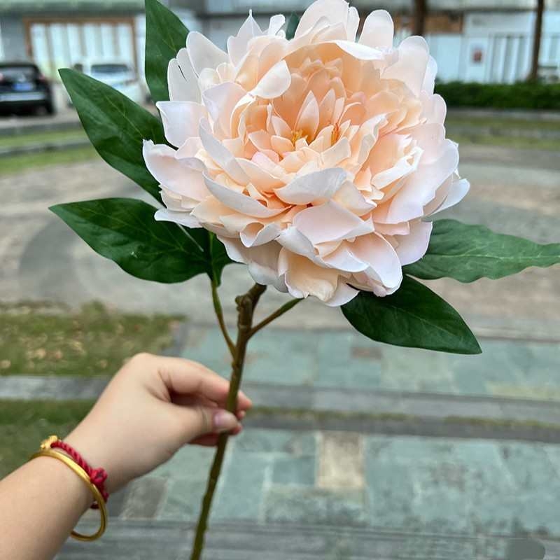 Soft-touch Peony Flower