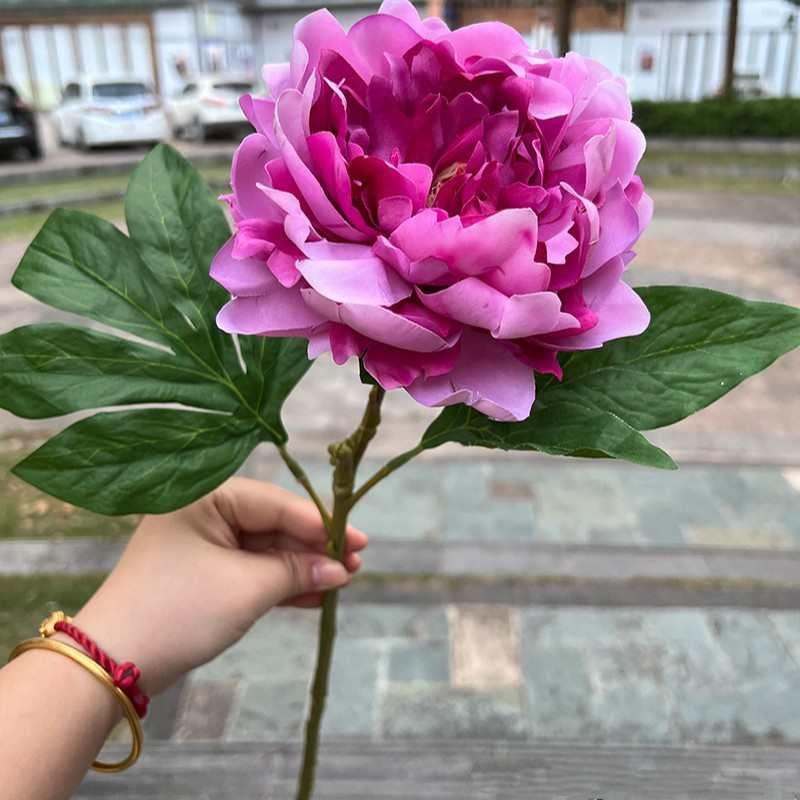 Soft-touch Peony Flower