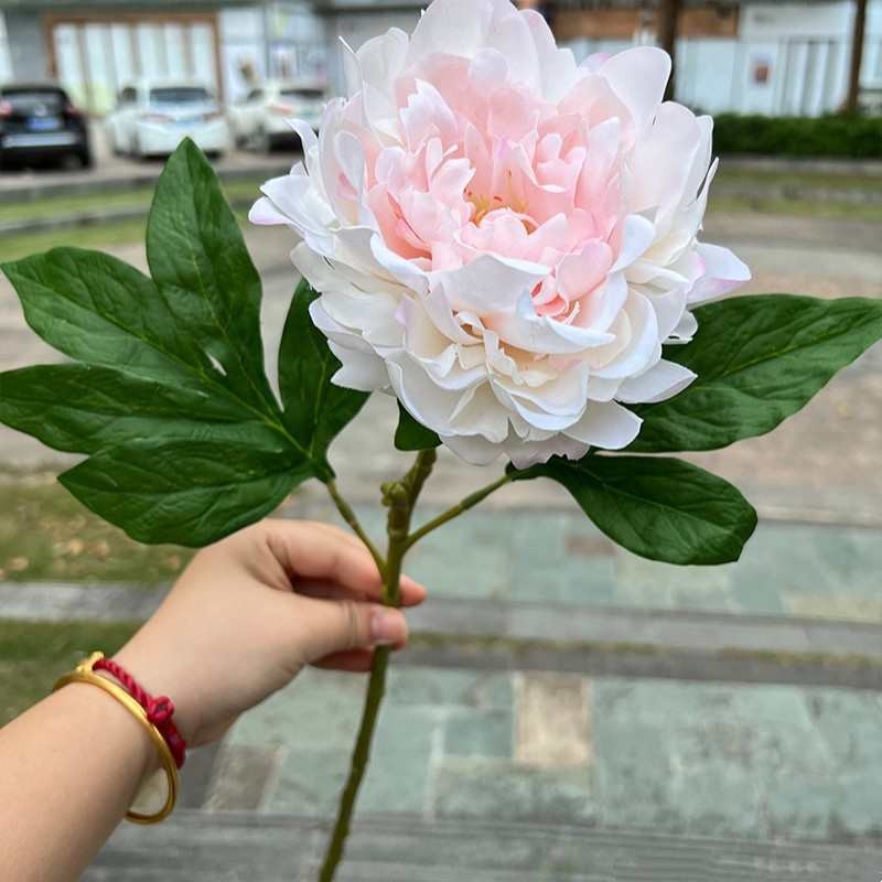 Soft-touch Peony Flower