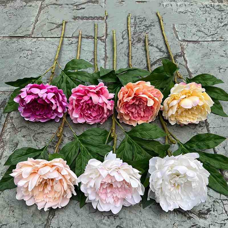 Soft-touch Peony Flower