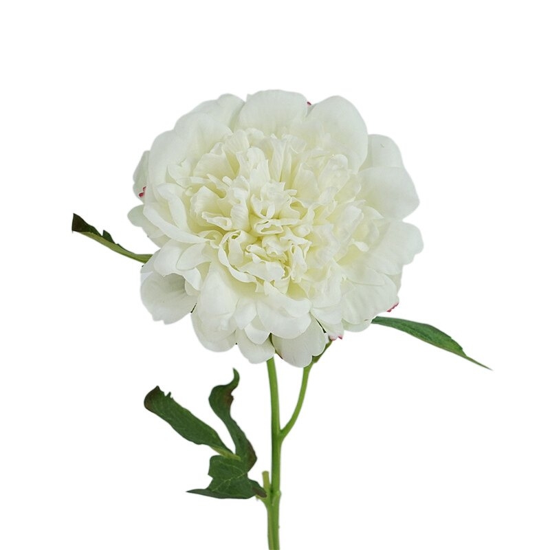 High-end soft-touch peony flower
