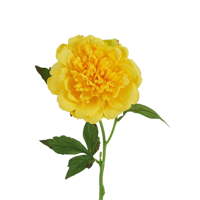 High-end soft-touch peony flower