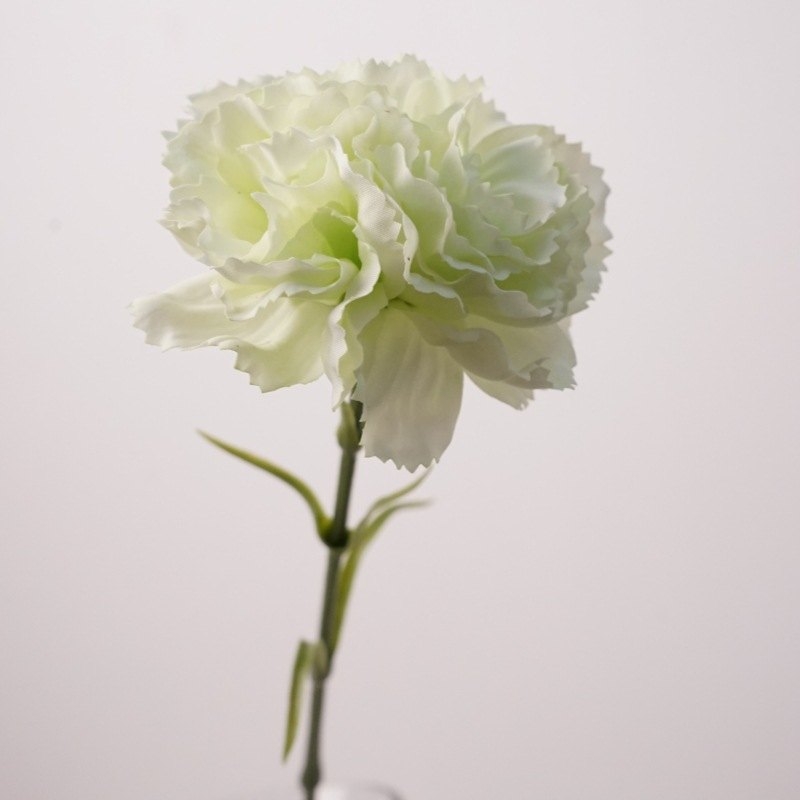 Soft-touch Carnation Wholesale