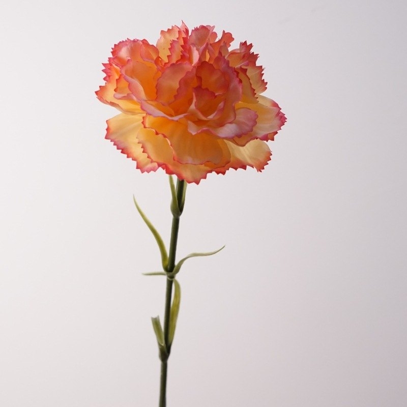 Soft-touch Carnation Wholesale