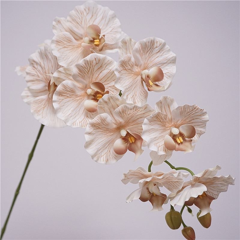 Artificial soft-touch Phalaenopsis orchid