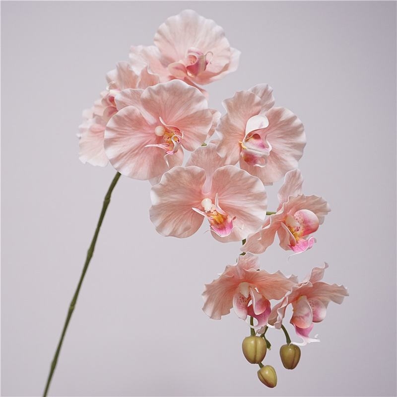 Artificial soft-touch Phalaenopsis orchid
