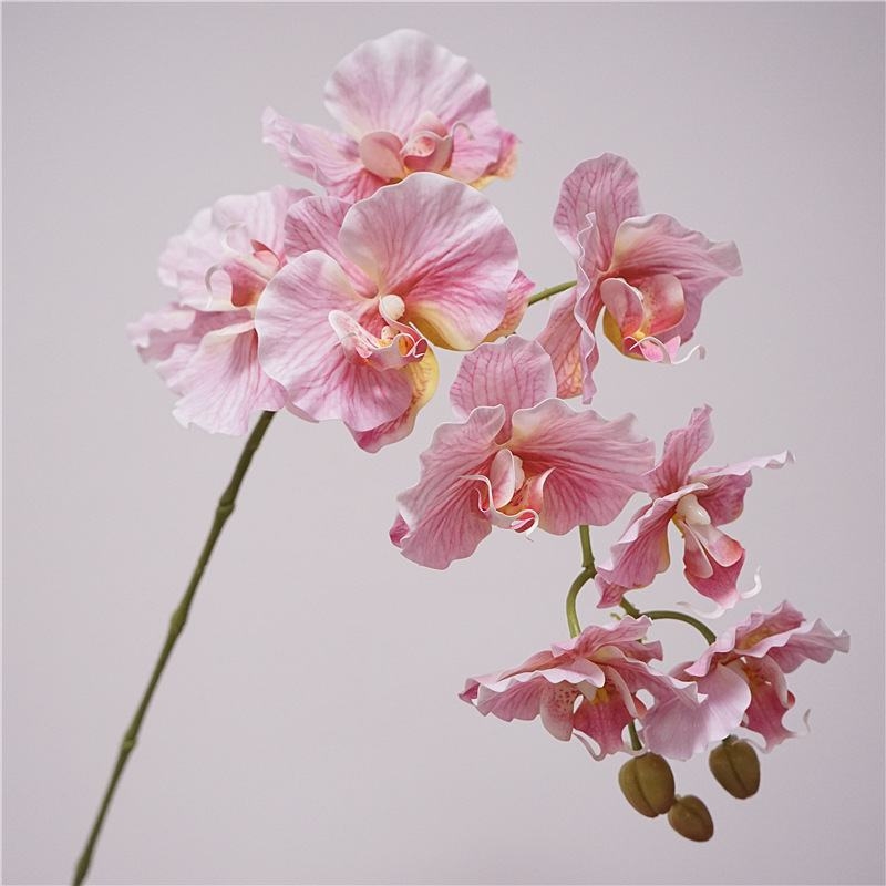 Artificial soft-touch Phalaenopsis orchid