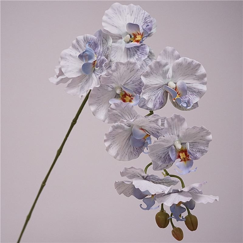 Artificial soft-touch Phalaenopsis orchid
