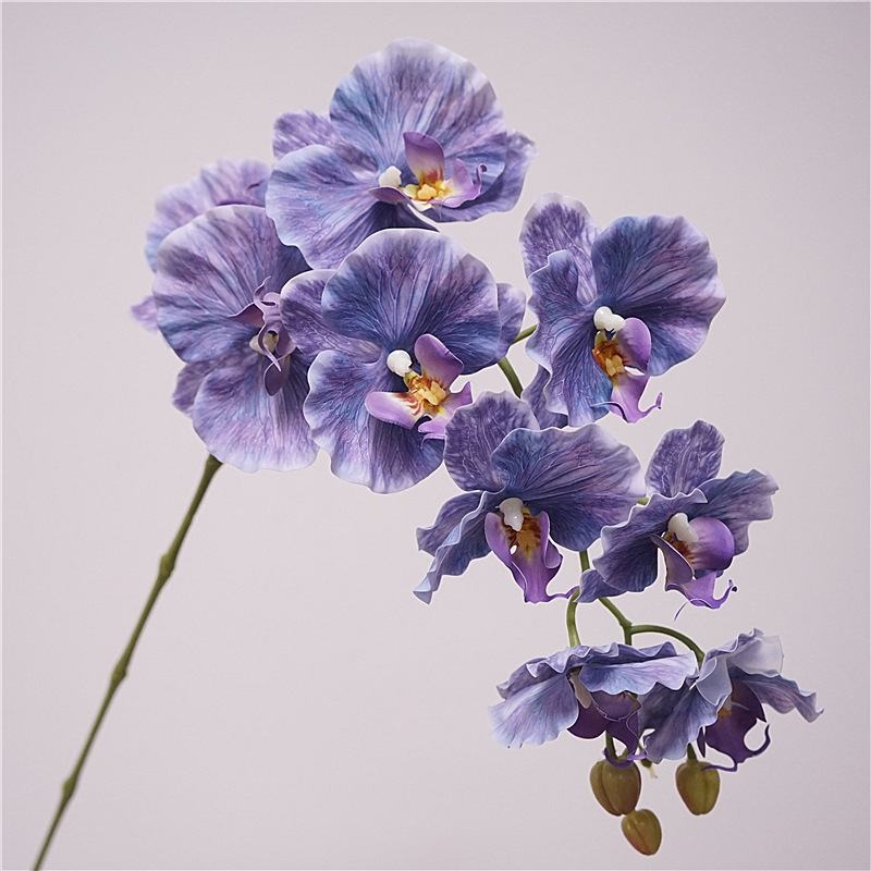 Artificial soft-touch Phalaenopsis orchid