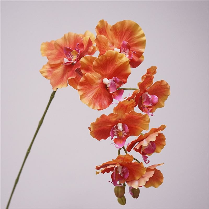 Artificial soft-touch Phalaenopsis orchid