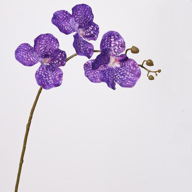 Soft-touch Artificial Vanda orchid