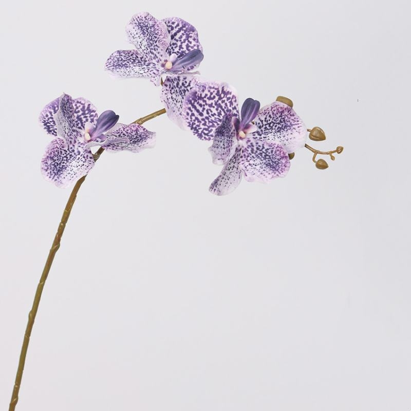 Soft-touch Artificial Vanda orchid