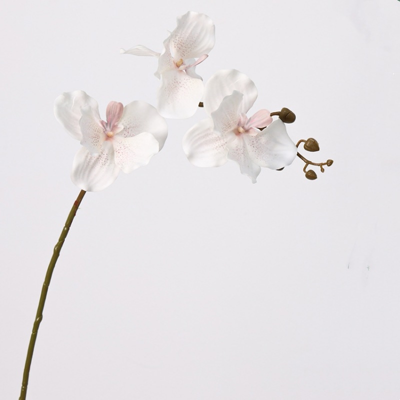Soft-touch Artificial Vanda orchid