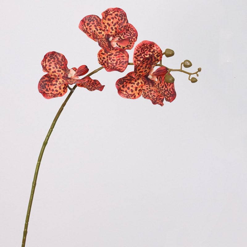 Soft-touch Artificial Vanda orchid