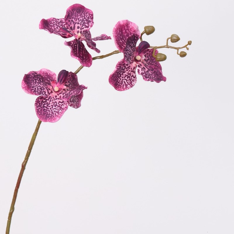 Soft-touch Artificial Vanda orchid