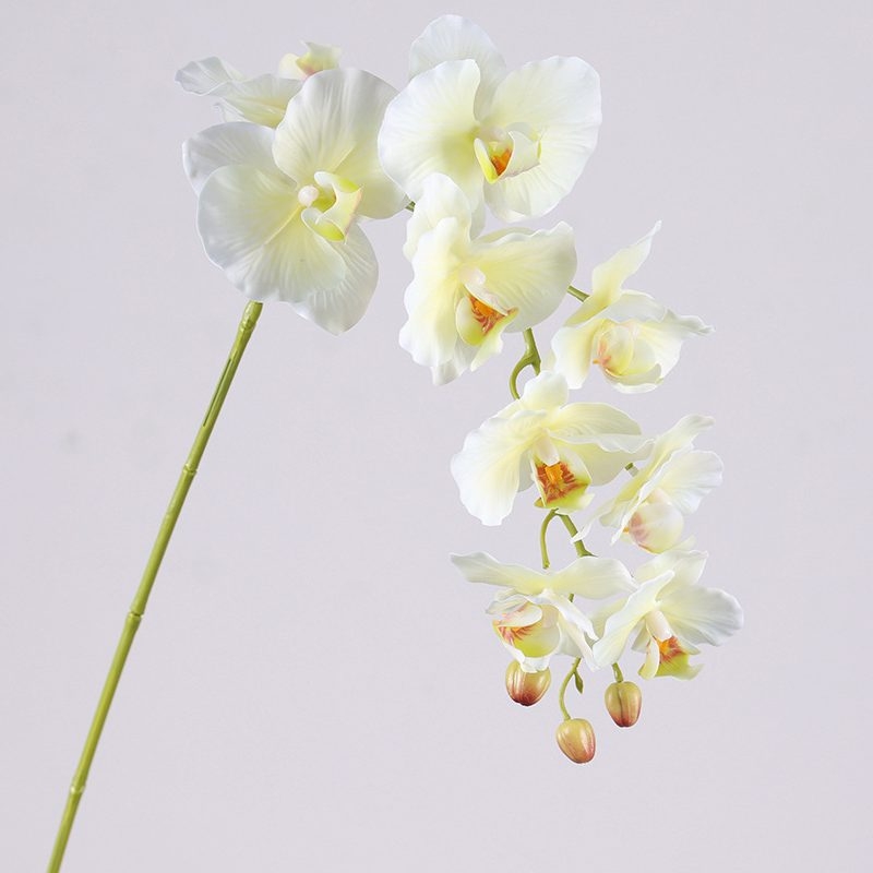 Soft-touch realistic Phalaenopsis Orchid