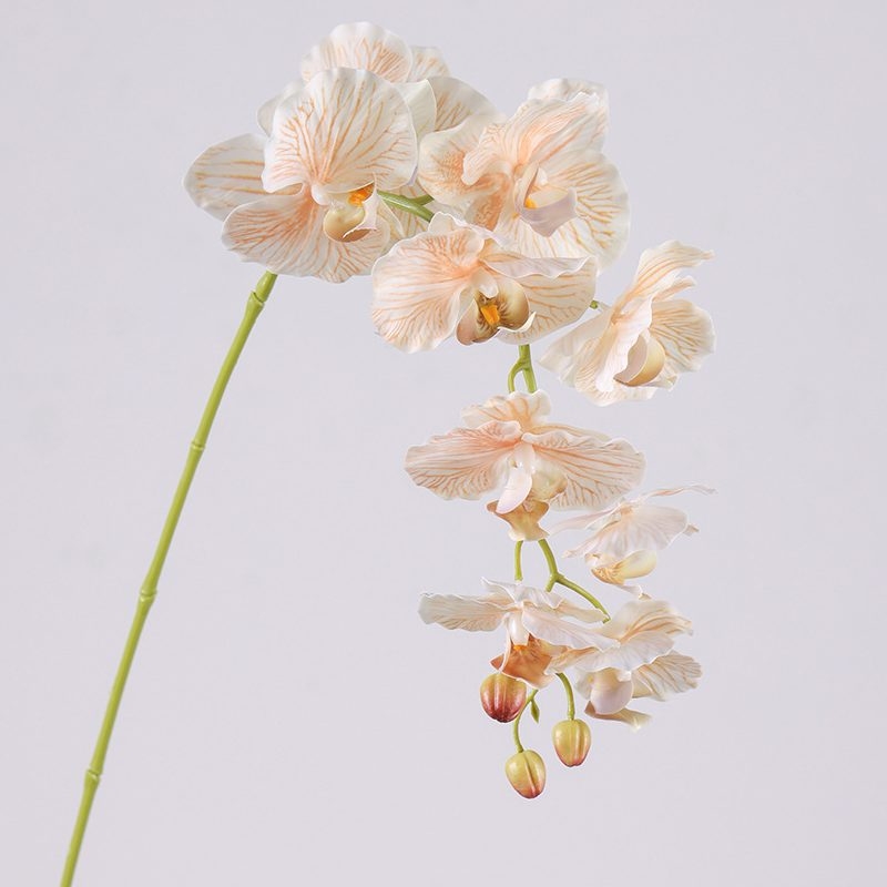 Soft-touch realistic Phalaenopsis Orchid