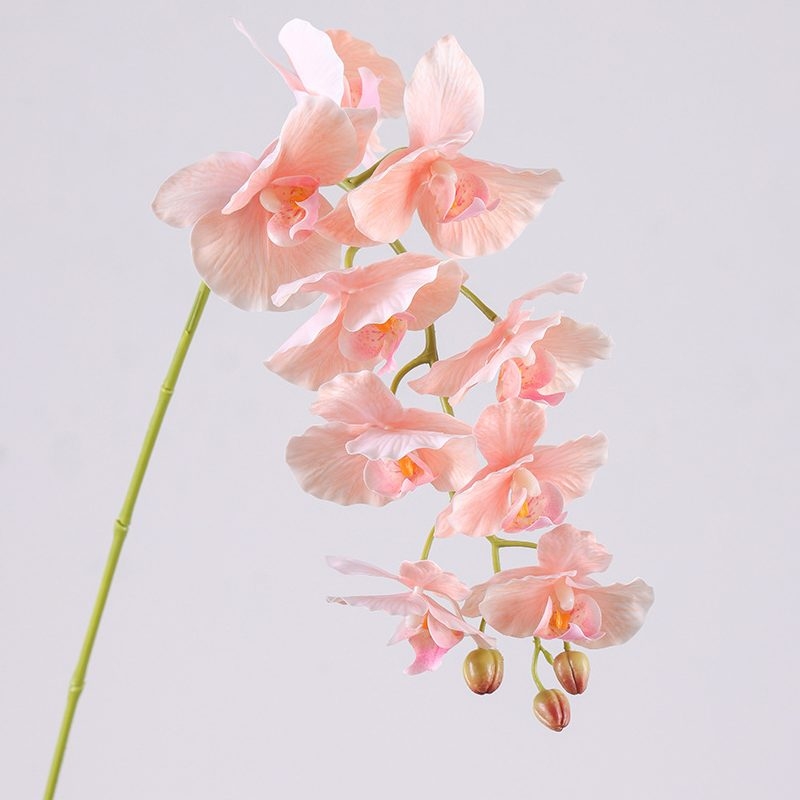 Soft-touch realistic Phalaenopsis Orchid