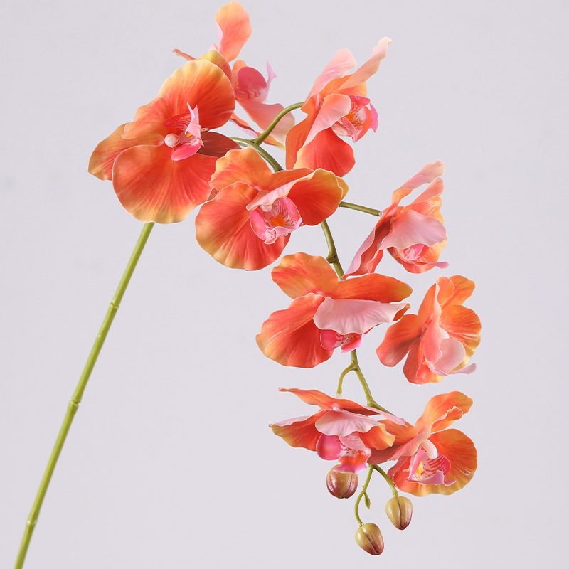Soft-touch realistic Phalaenopsis Orchid