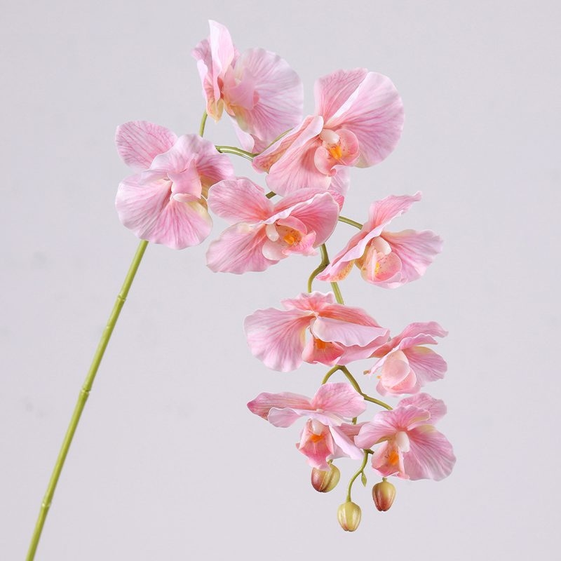 Soft-touch realistic Phalaenopsis Orchid