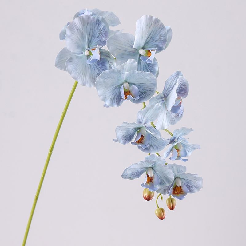 Soft-touch realistic Phalaenopsis Orchid