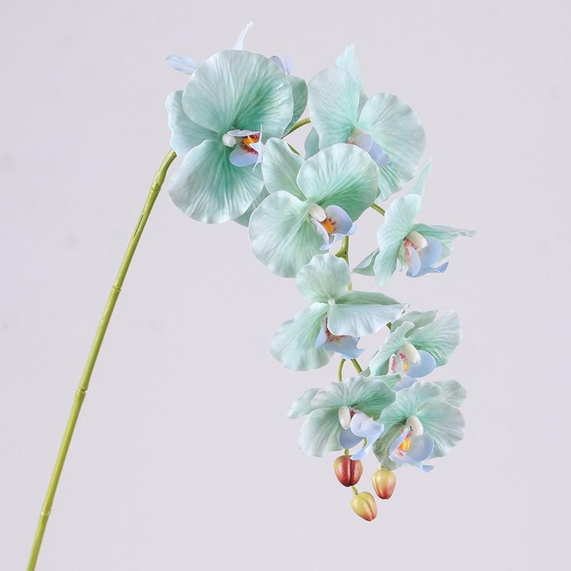 Soft-touch realistic Phalaenopsis Orchid