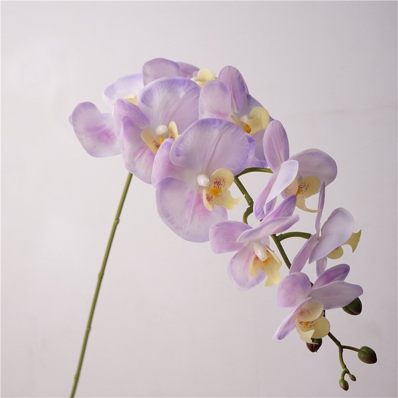 Realistic Artificial Phalaenopsis orchid