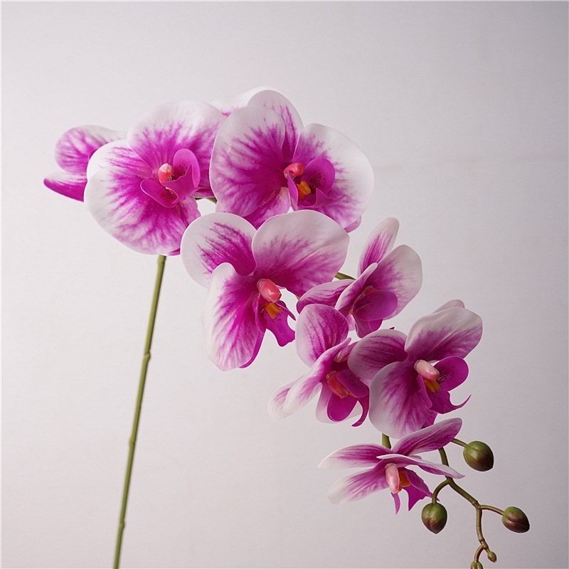 Realistic Artificial Phalaenopsis orchid