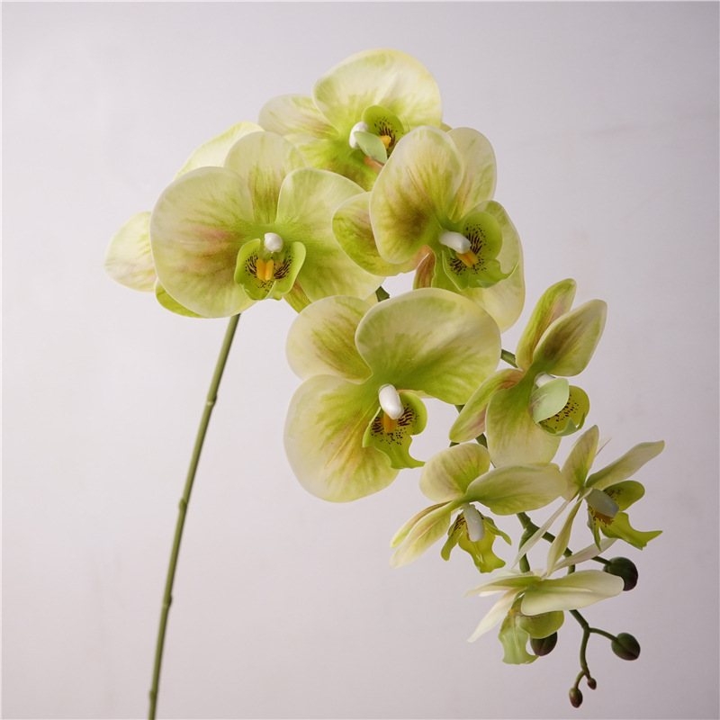 Realistic Artificial Phalaenopsis orchid