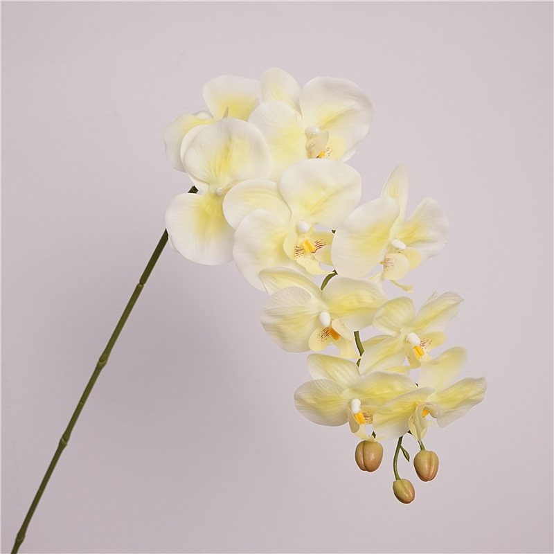Realistic Artificial Phalaenopsis orchid