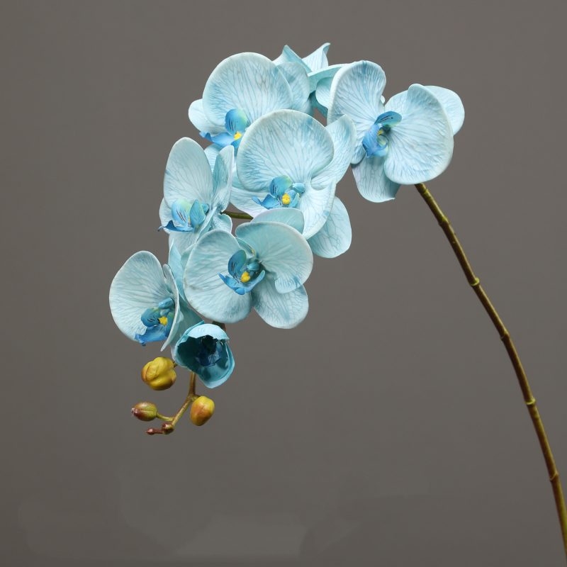 High-quality real touch Phalaenopsis orchid