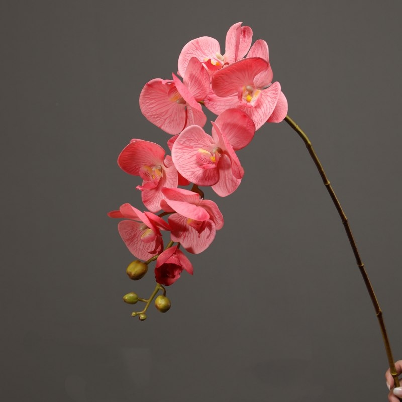 High-quality real touch Phalaenopsis orchid