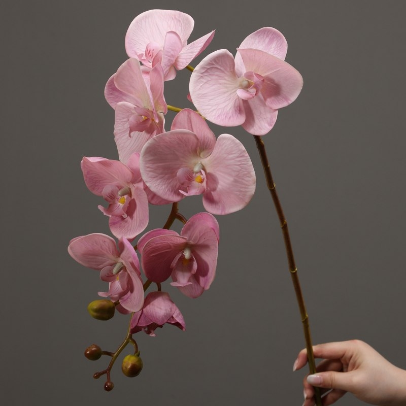 High-quality real touch Phalaenopsis orchid