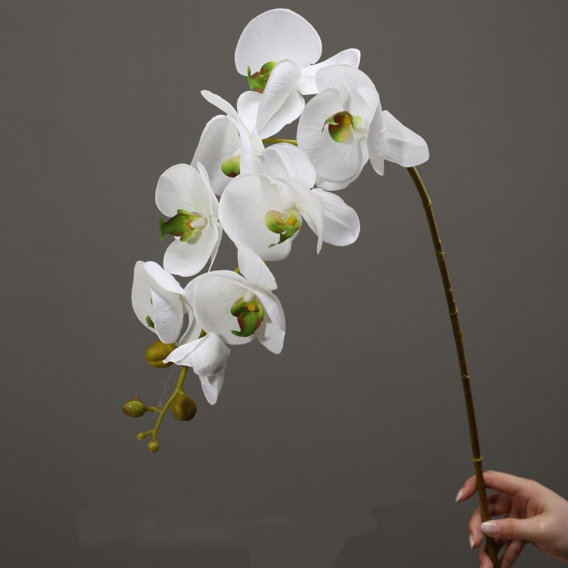 High-quality real touch Phalaenopsis orchid