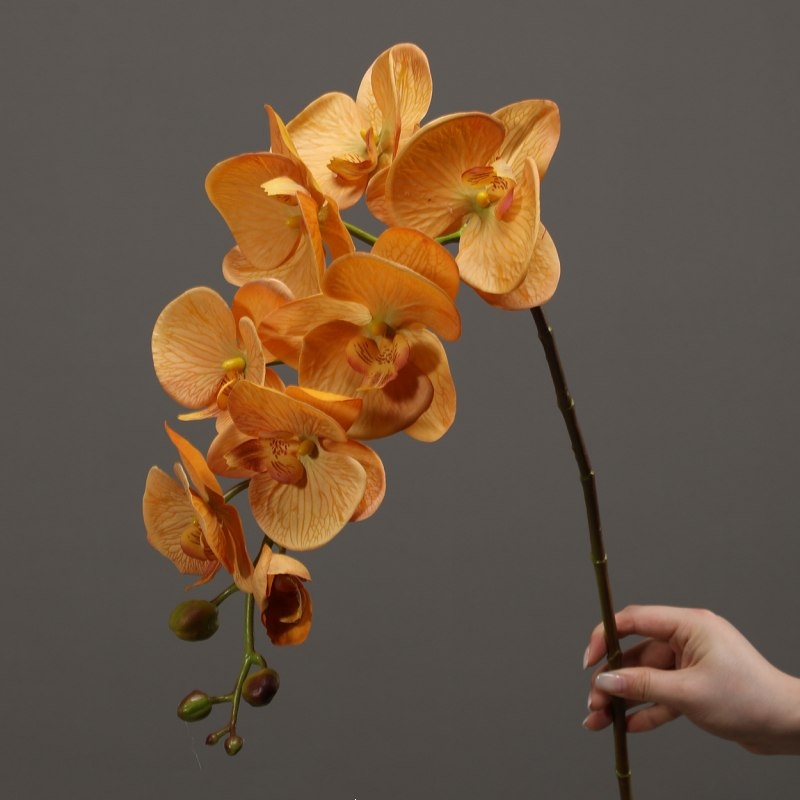 High-quality real touch Phalaenopsis orchid
