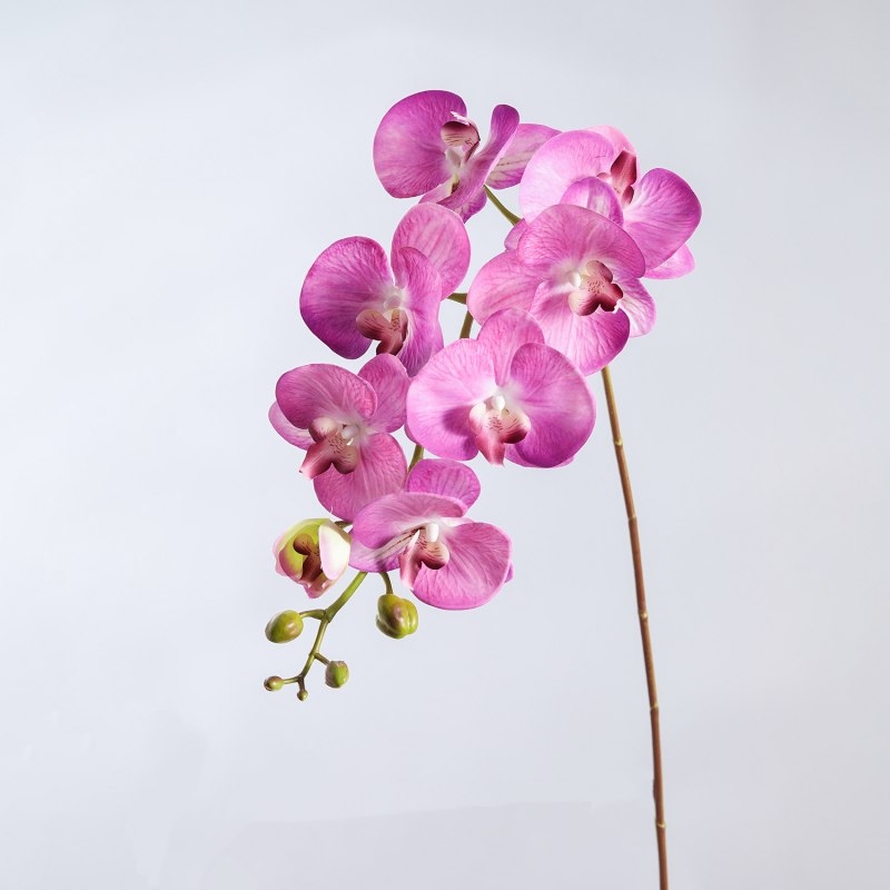 High-quality real touch Phalaenopsis orchid