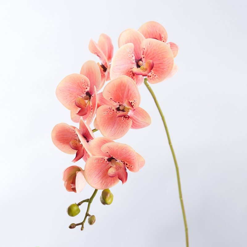 High-quality real touch Phalaenopsis orchid