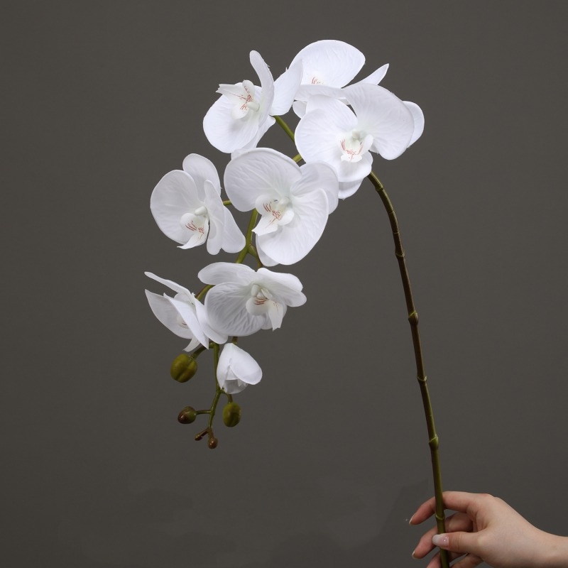 High-quality real touch Phalaenopsis orchid