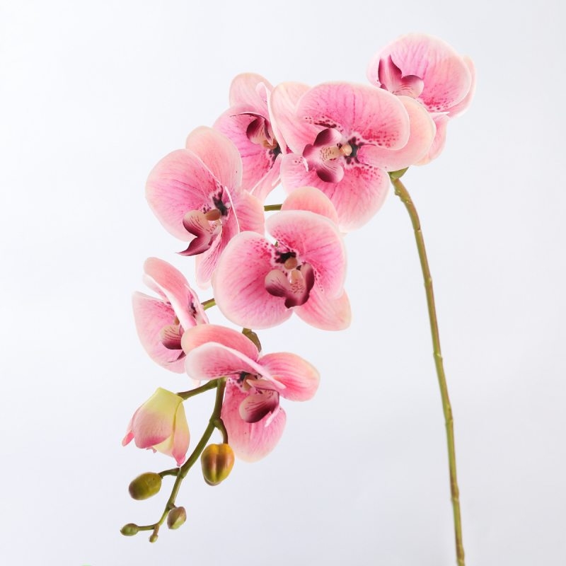 High-quality real touch Phalaenopsis orchid