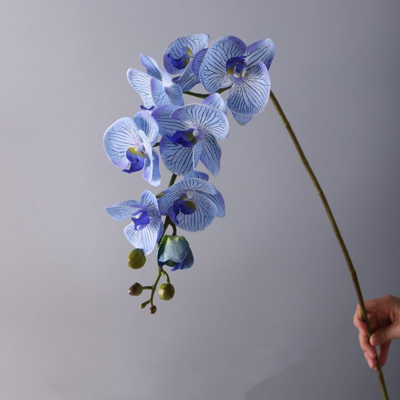 High-quality real touch Phalaenopsis orchid