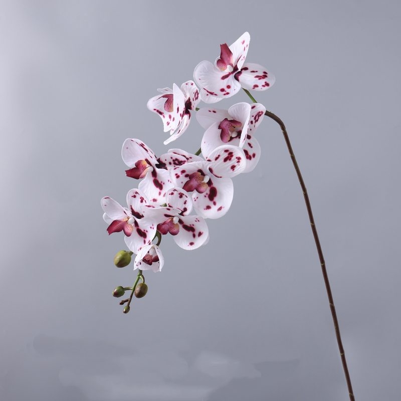 High-quality real touch Phalaenopsis orchid
