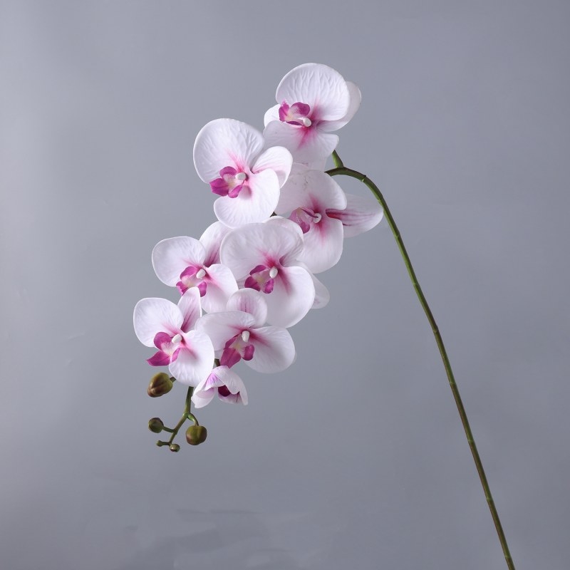 High-quality real touch Phalaenopsis orchid