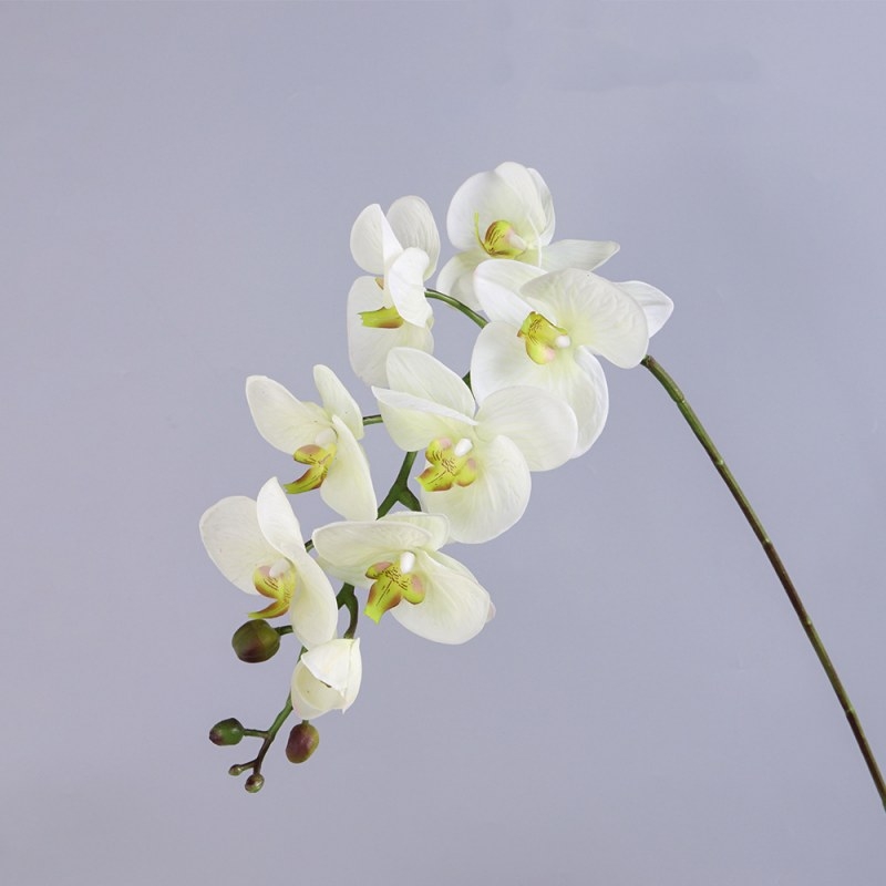 High-quality real touch Phalaenopsis orchid