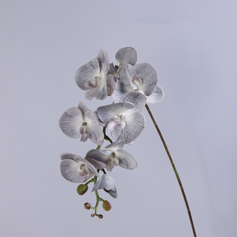 High-quality real touch Phalaenopsis orchid