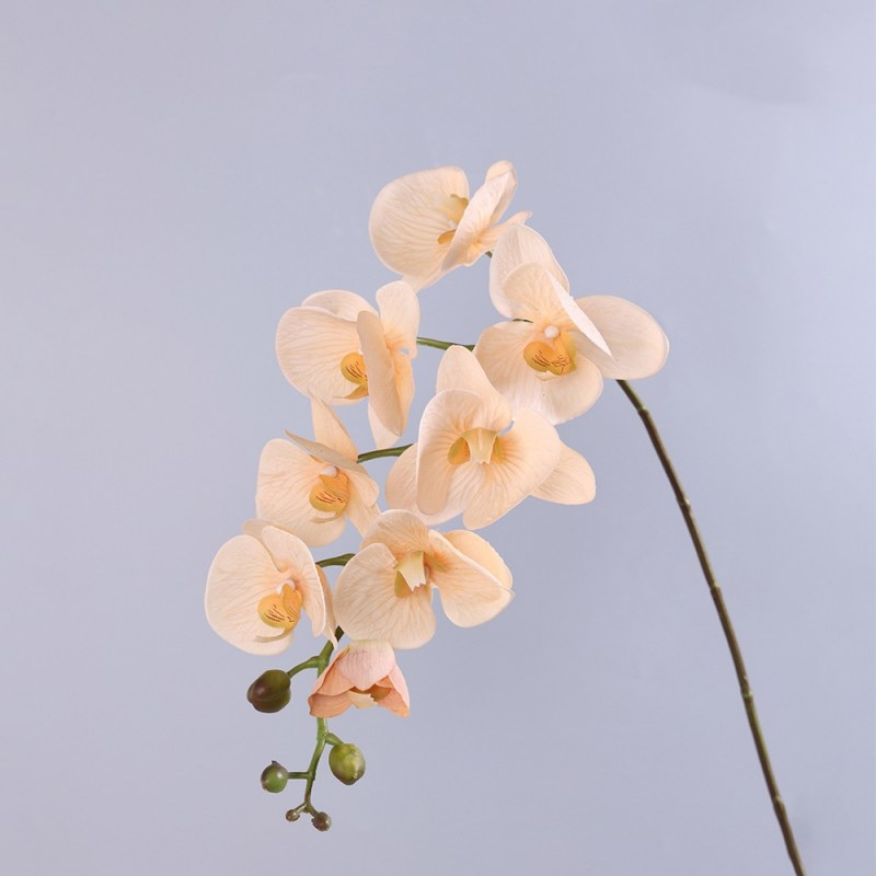 High-quality real touch Phalaenopsis orchid