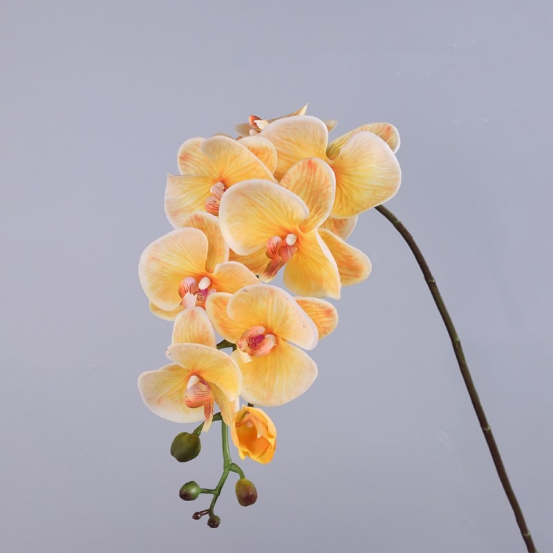 High-quality real touch Phalaenopsis orchid